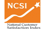 NCSI 로고